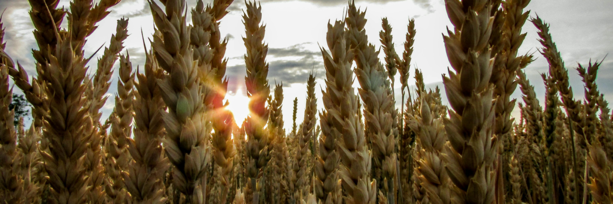 I as a Tool, Not a Reason